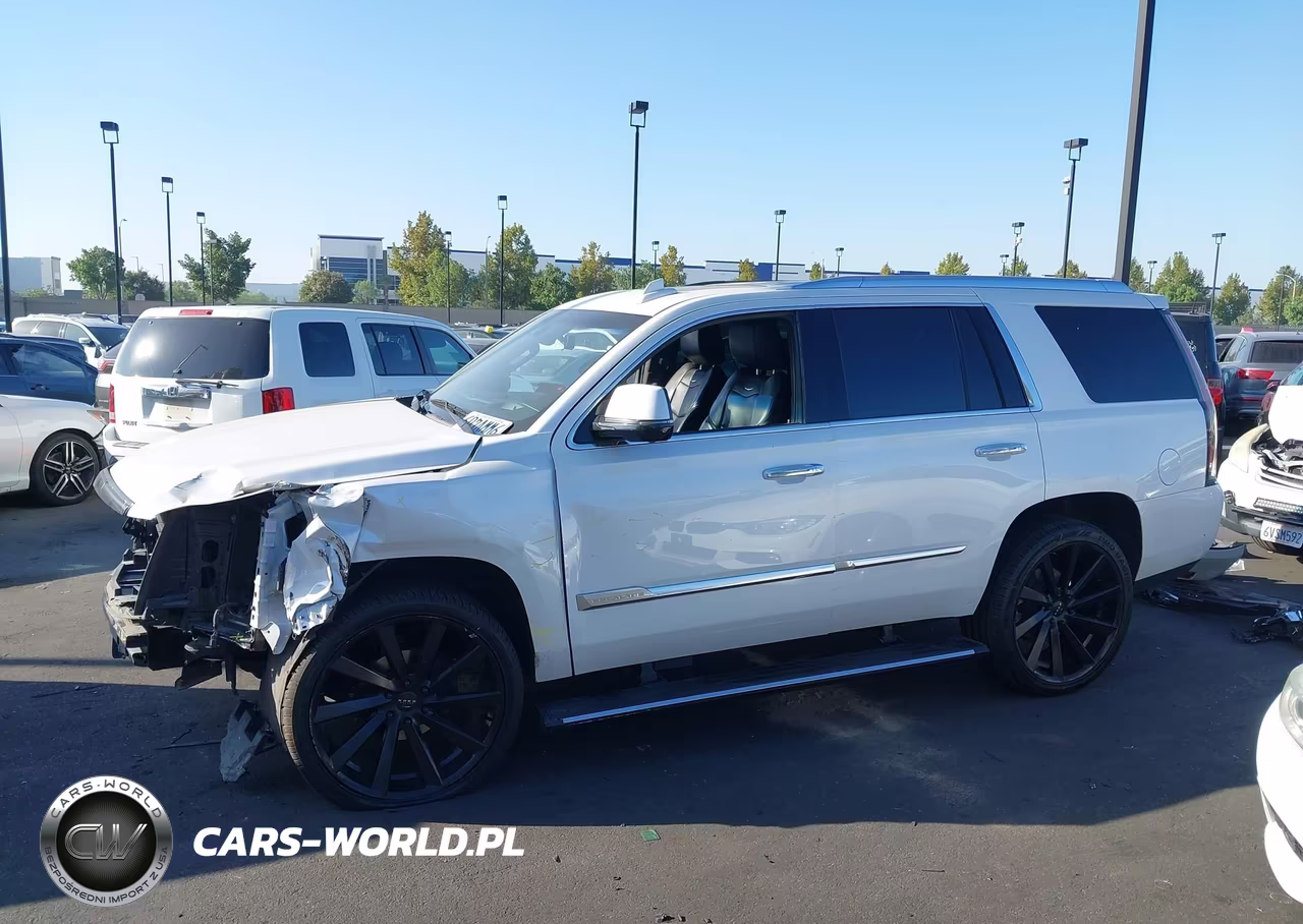2020 Cadillac Escalade 2Wd Platinum VIN:1GYS3DKJ7LR101642 - 15