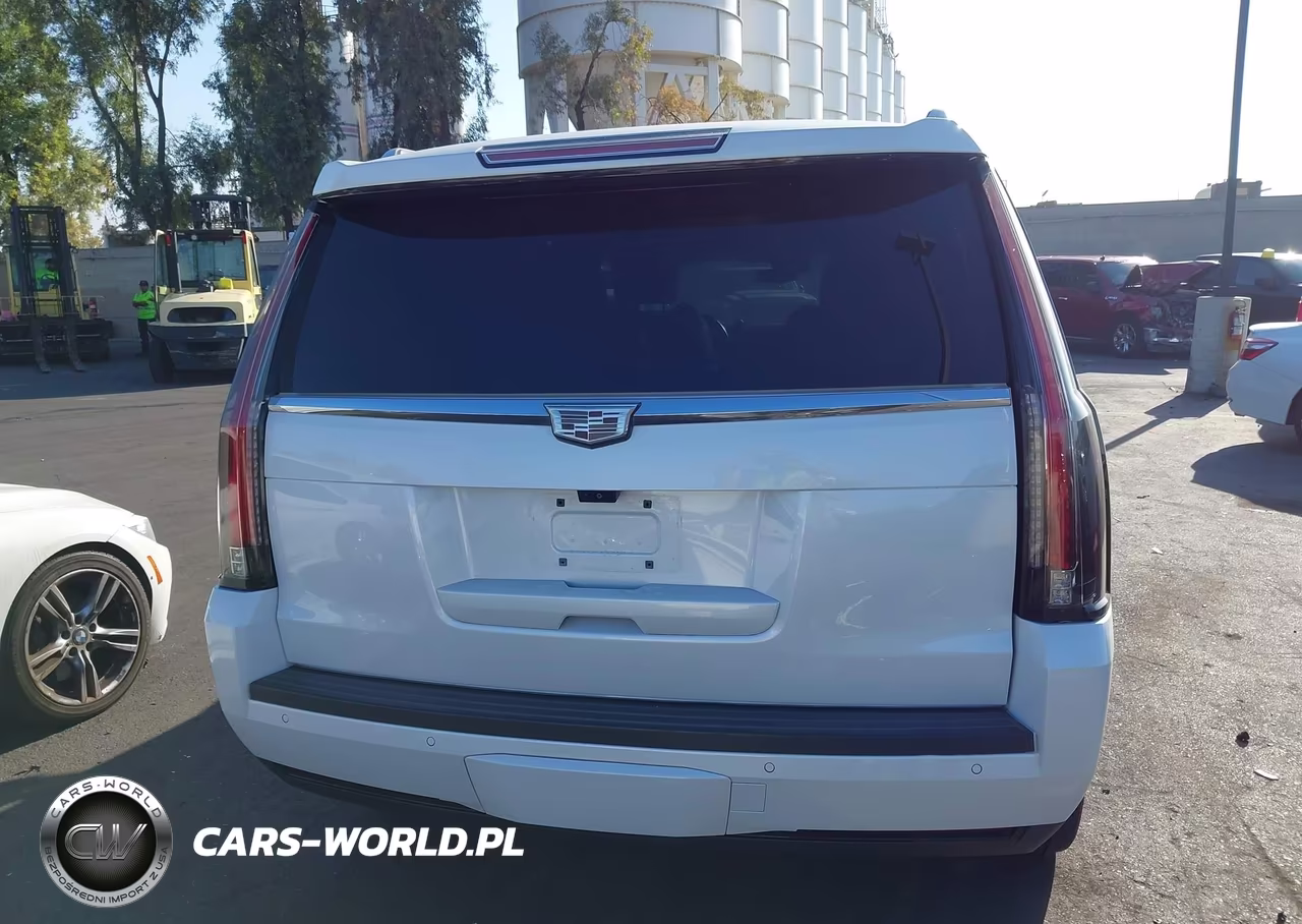 2020 Cadillac Escalade 2Wd Platinum VIN:1GYS3DKJ7LR101642 - 17