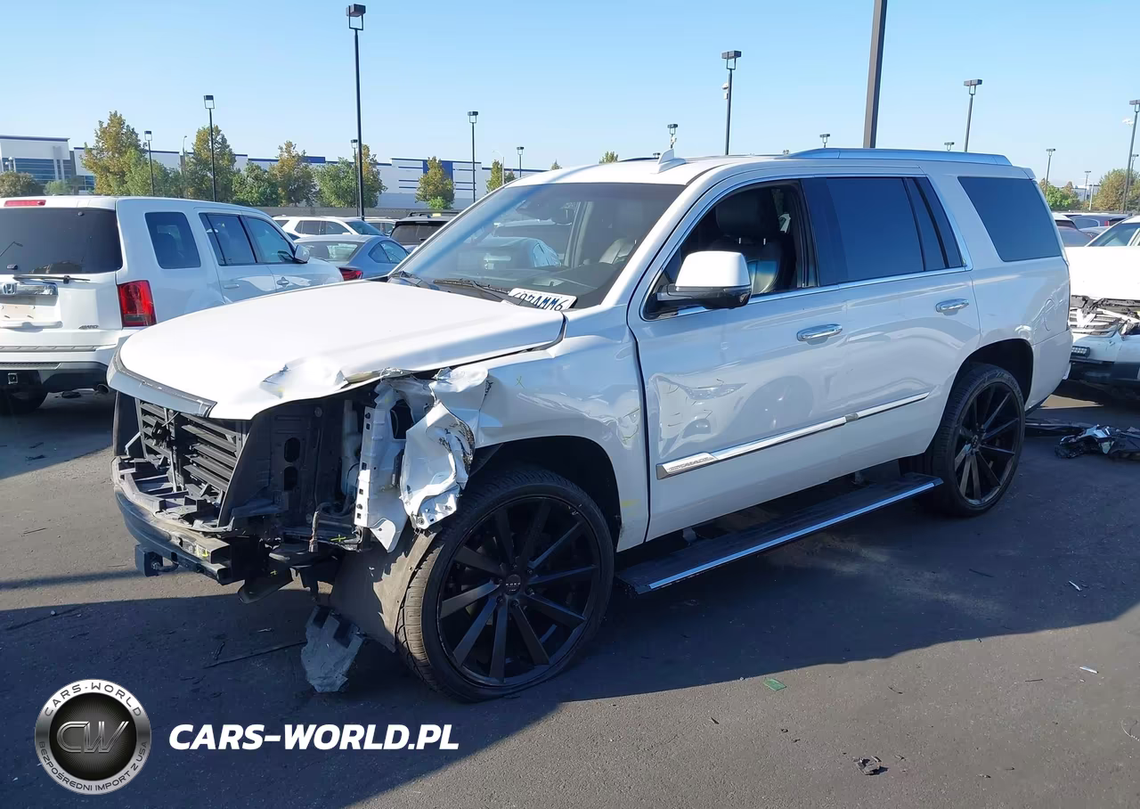 2020 Cadillac Escalade 2Wd Platinum VIN:1GYS3DKJ7LR101642 - 2