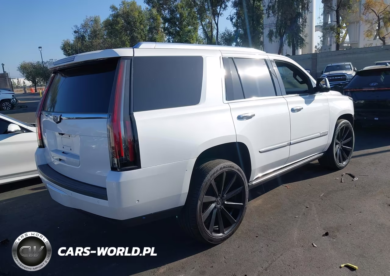 2020 Cadillac Escalade 2Wd Platinum VIN:1GYS3DKJ7LR101642 - 4