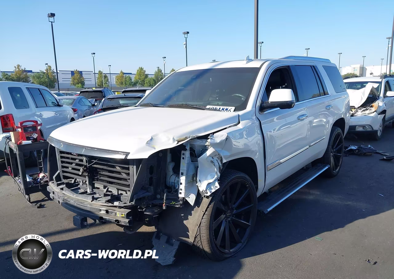 2020 Cadillac Escalade 2Wd Platinum VIN:1GYS3DKJ7LR101642 - 6