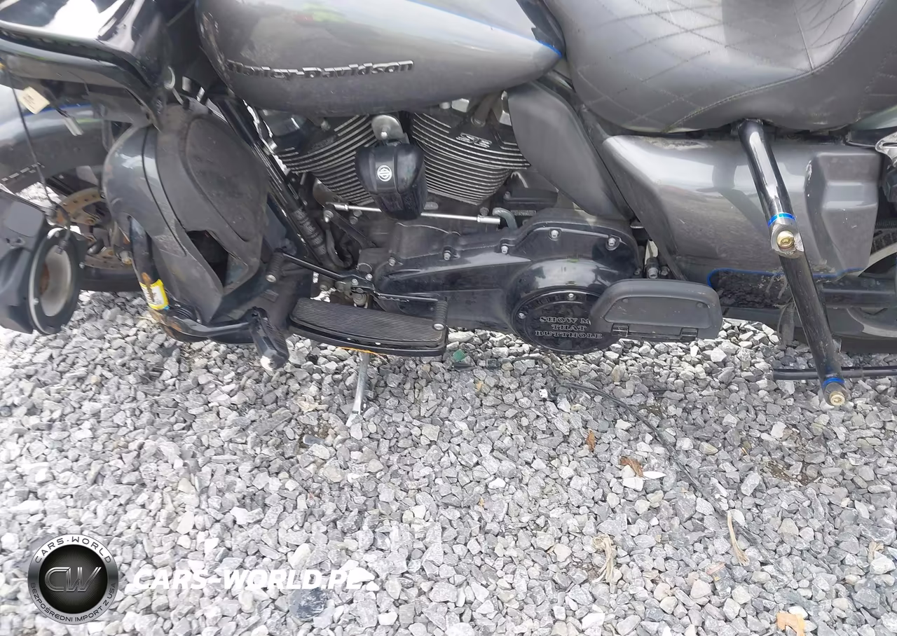 2021 Harley-Davidson Fltrk VIN:1HD1KZF11MB640925 - 9