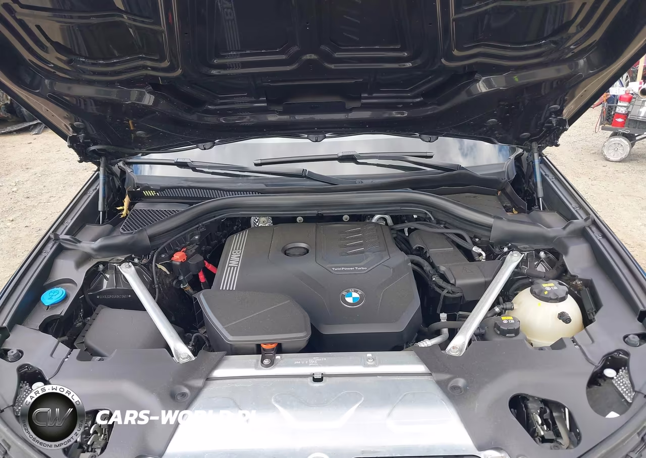2022 BMW X3 xDrive30I VIN:5UX53DP05N9K23601 - 10