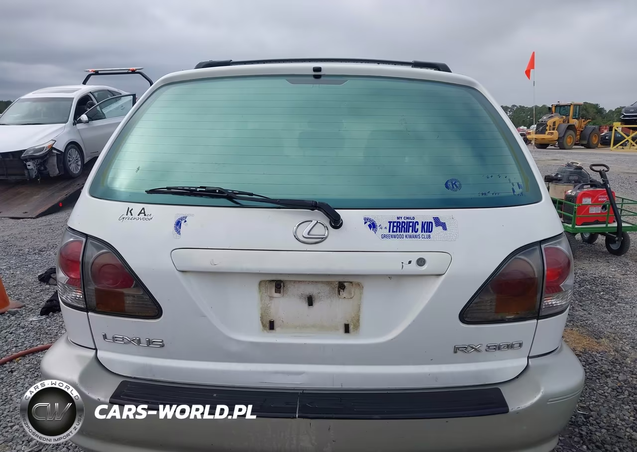 2002 Lexus Rx 300 VIN:JTJGF10U320124527 - 16