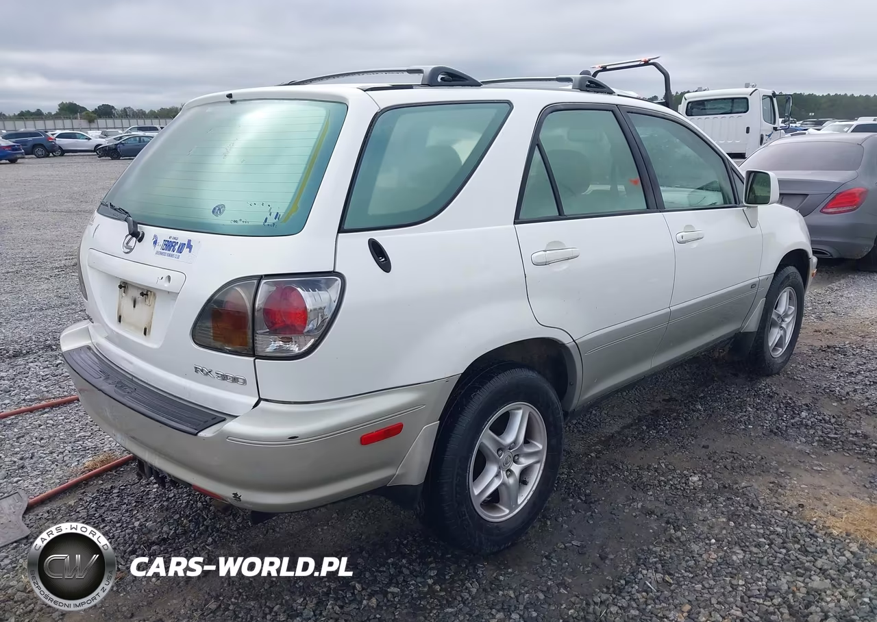 2002 Lexus Rx 300 VIN:JTJGF10U320124527 - 4