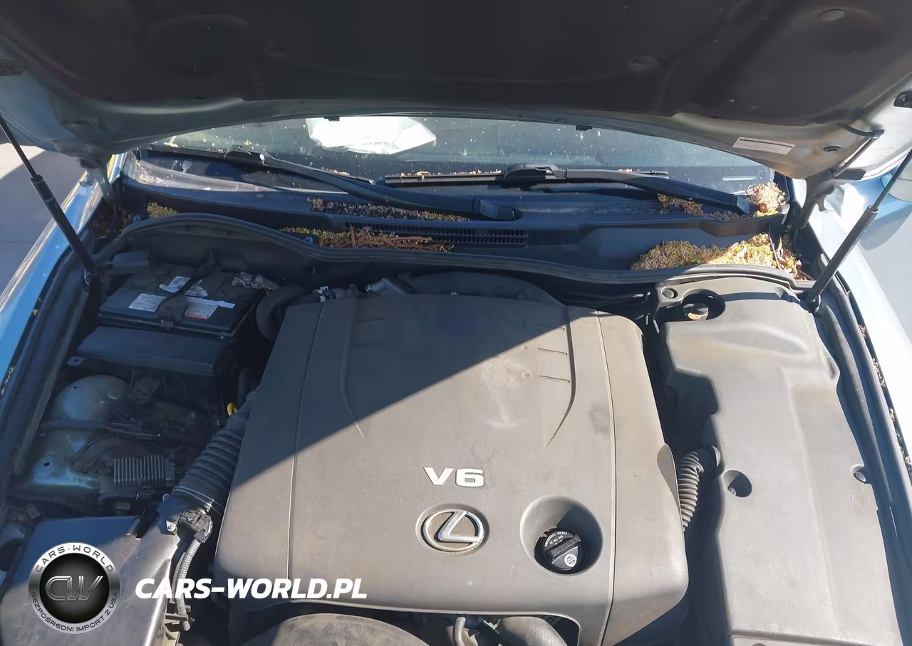 2006 Lexus Is 250 VIN:JTHBK262865008784 - 10