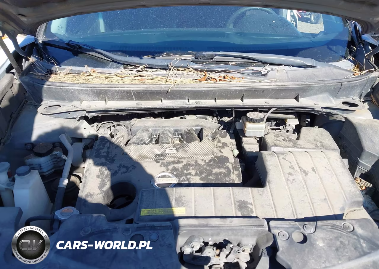 2009 Nissan Murano S VIN:JN8AZ18W69W103298 - 10