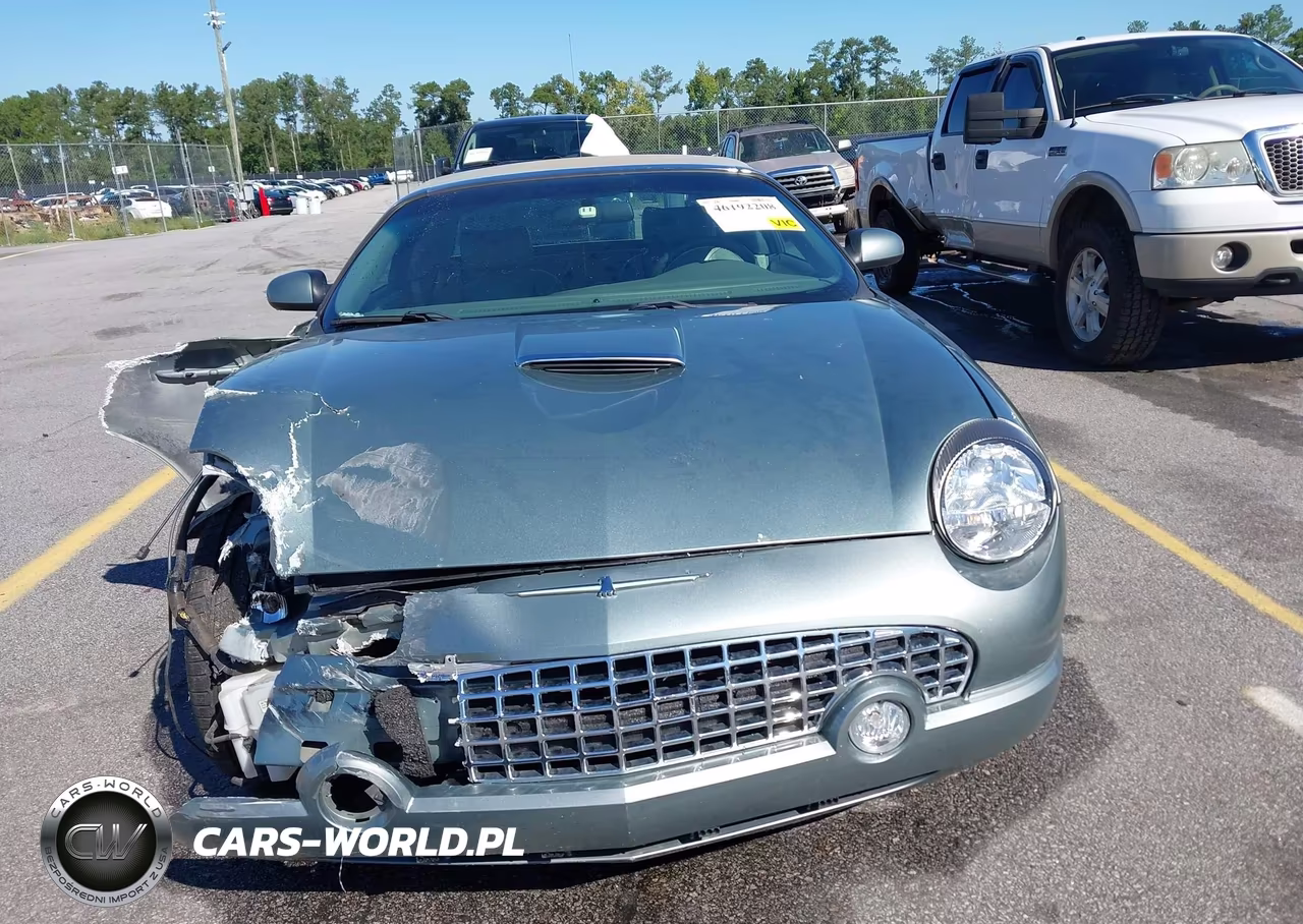 2004 Ford Thunderbird VIN:1FAHP63A14Y107190 - 13