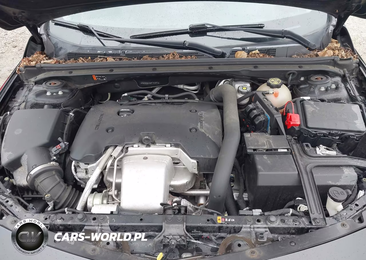 2019 Chevrolet Malibu Premier VIN:1G1ZE5SX6KF153491 - 10