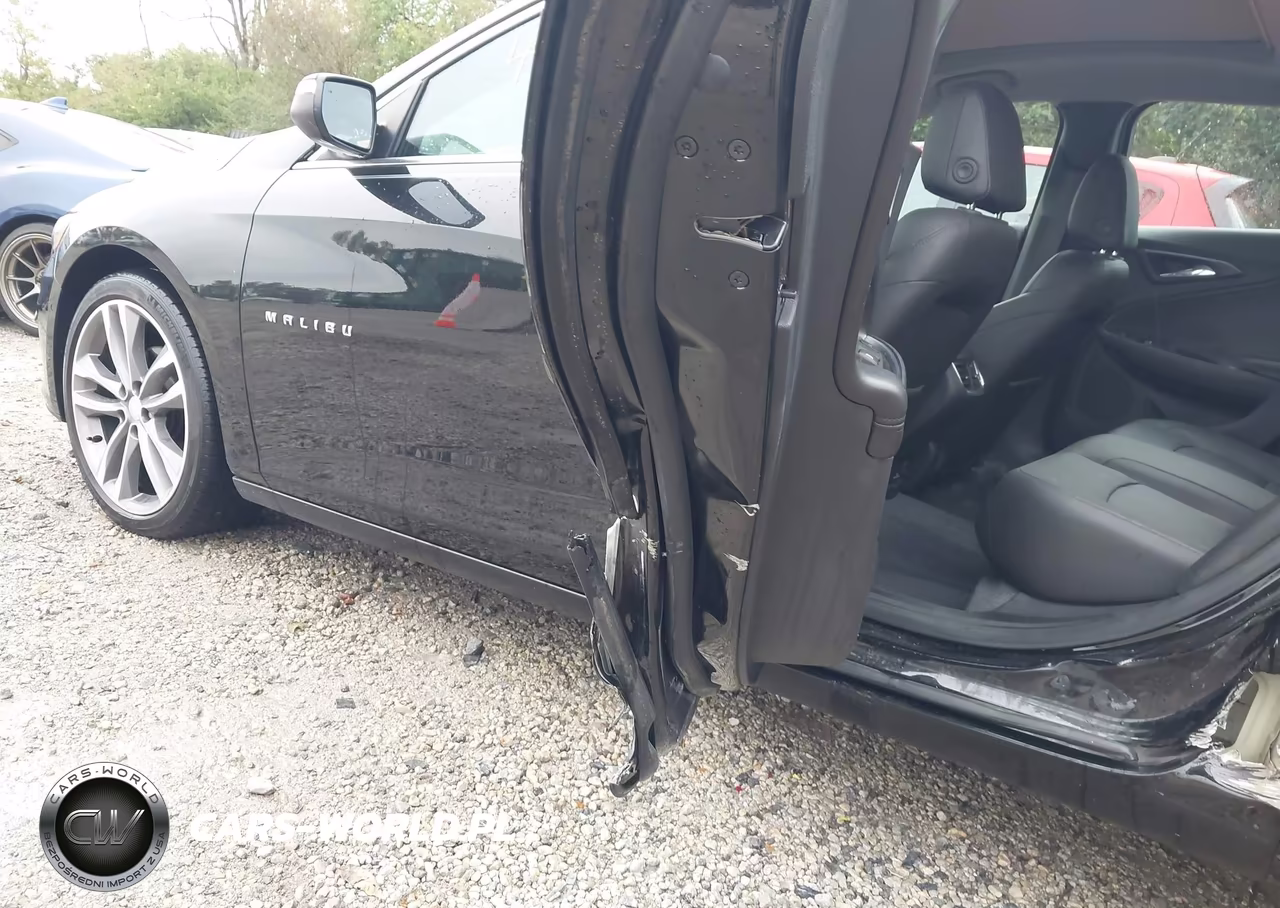 2019 Chevrolet Malibu Premier VIN:1G1ZE5SX6KF153491 - 20