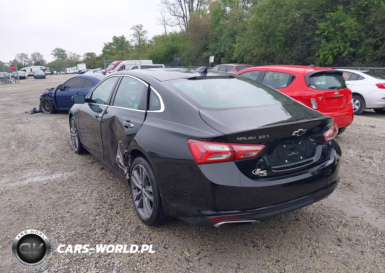 2019 Chevrolet Malibu Premier VIN:1G1ZE5SX6KF153491 - 3