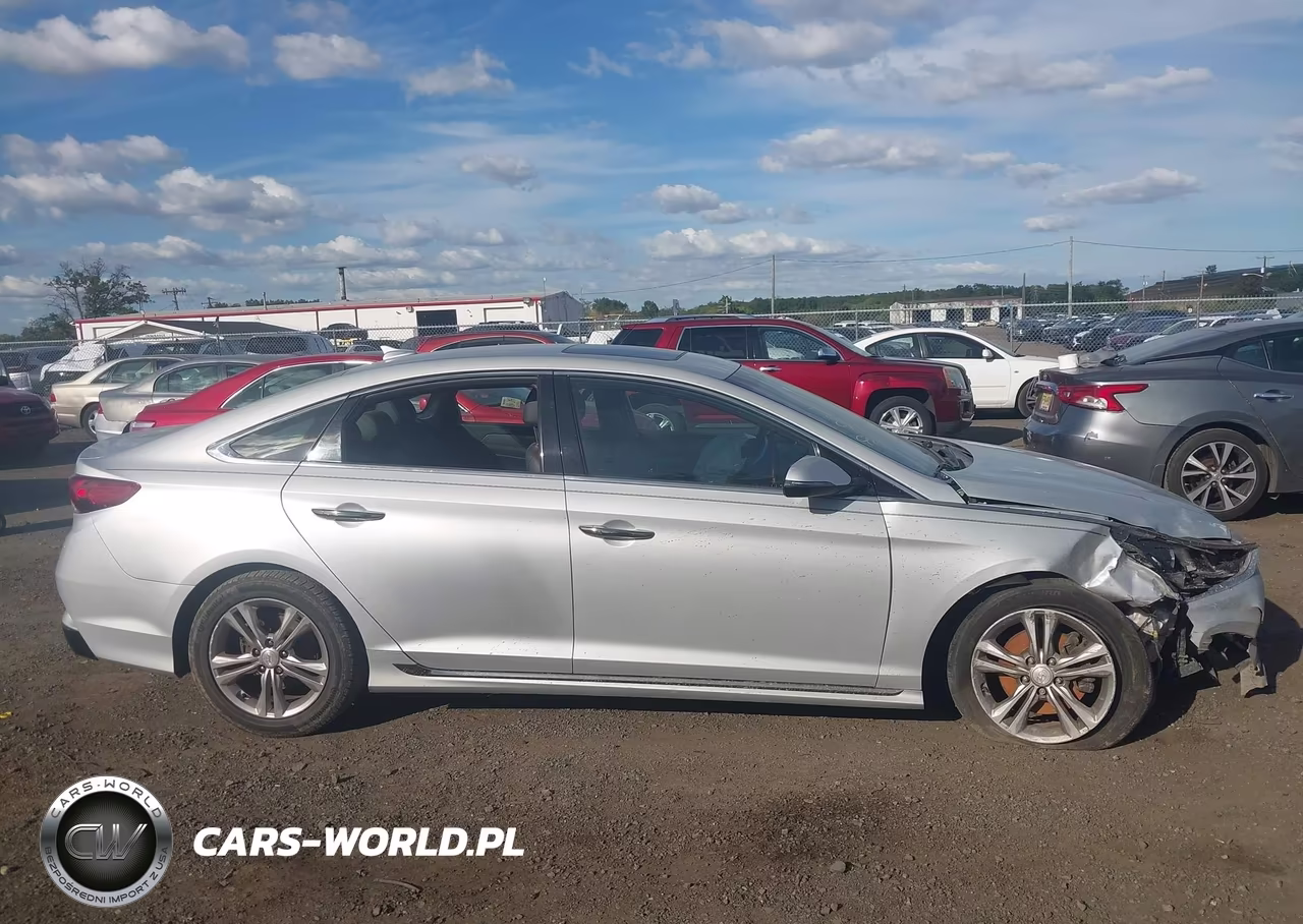 2019 Hyundai Sonata Sport VIN:5NPE34AF7KH817298 - 13