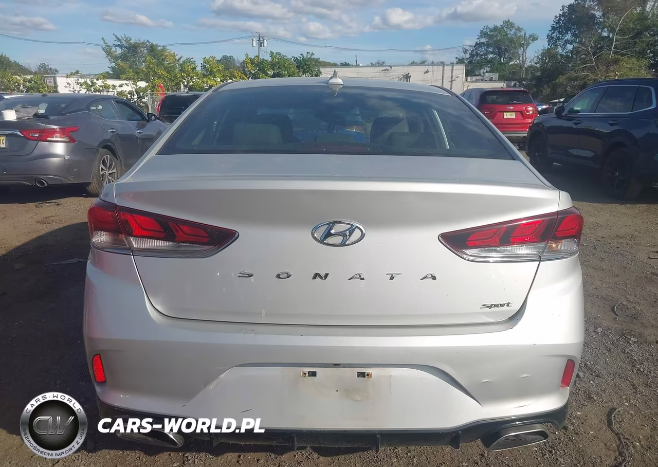 2019 Hyundai Sonata Sport VIN:5NPE34AF7KH817298 - 16