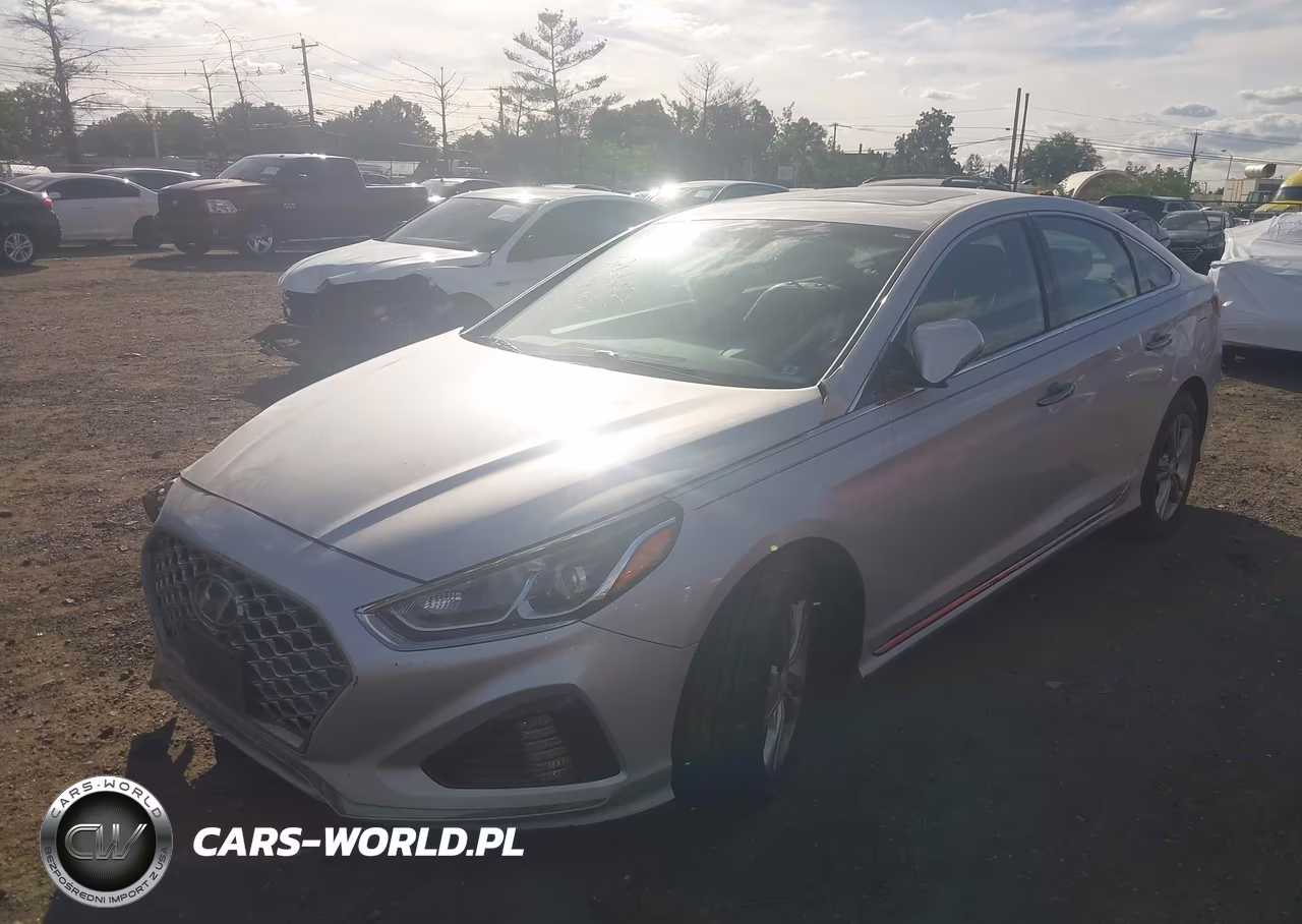 2019 Hyundai Sonata Sport VIN:5NPE34AF7KH817298 - 2