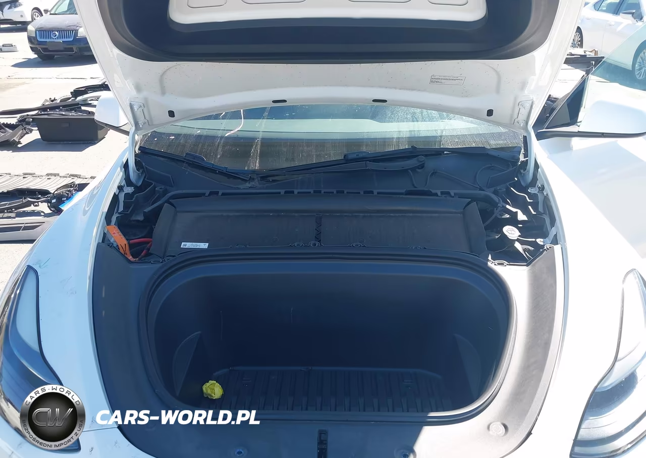 2023 Tesla Model Y Awd-Long Range Dual Motor All-Wheel Drive VIN:7SAYGDEE8PF676155 - 10