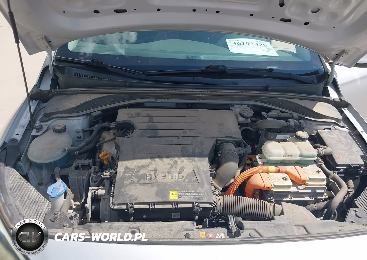 2019 Hyundai Ioniq Hybrid Blue VIN:KMHC65LC7KU161015 - 10