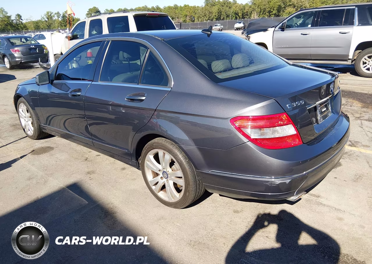 2010 Mercedes-Benz C 300 Luxury 4Matic-Sport 4Matic VIN:WDDGF8BB1AR124341 - 3