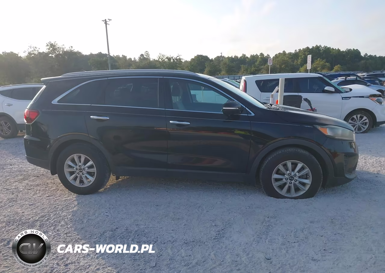2019 Kia Sorento 3.3L Lx VIN:5XYPG4A53KG499210 - 14