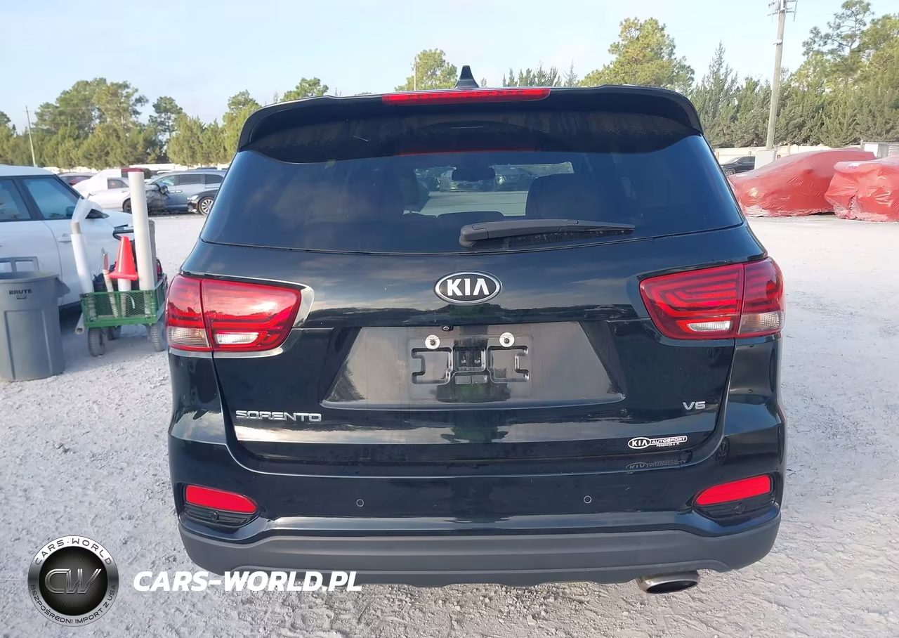 2019 Kia Sorento 3.3L Lx VIN:5XYPG4A53KG499210 - 17