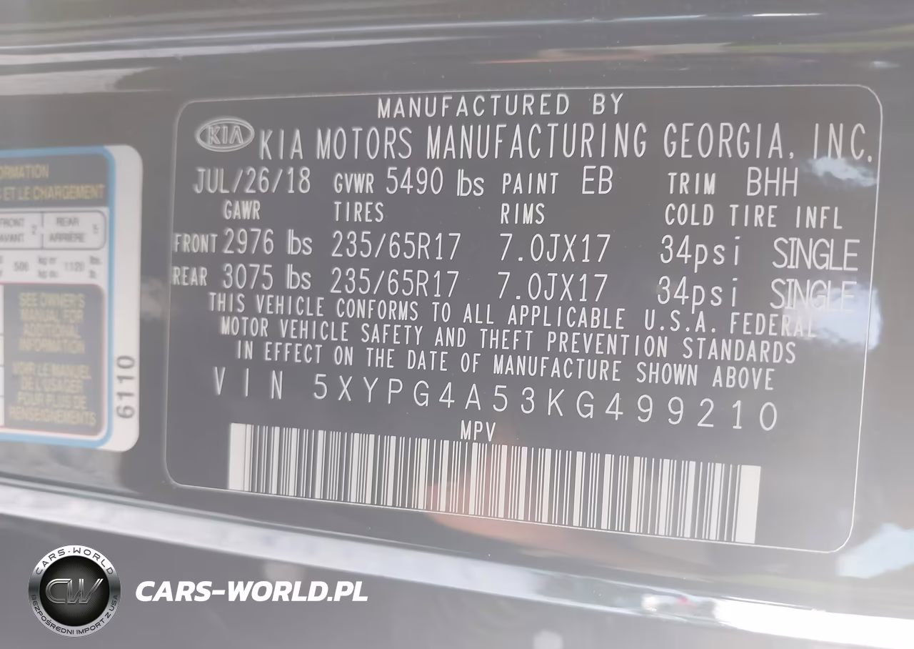 2019 Kia Sorento 3.3L Lx VIN:5XYPG4A53KG499210 - 9