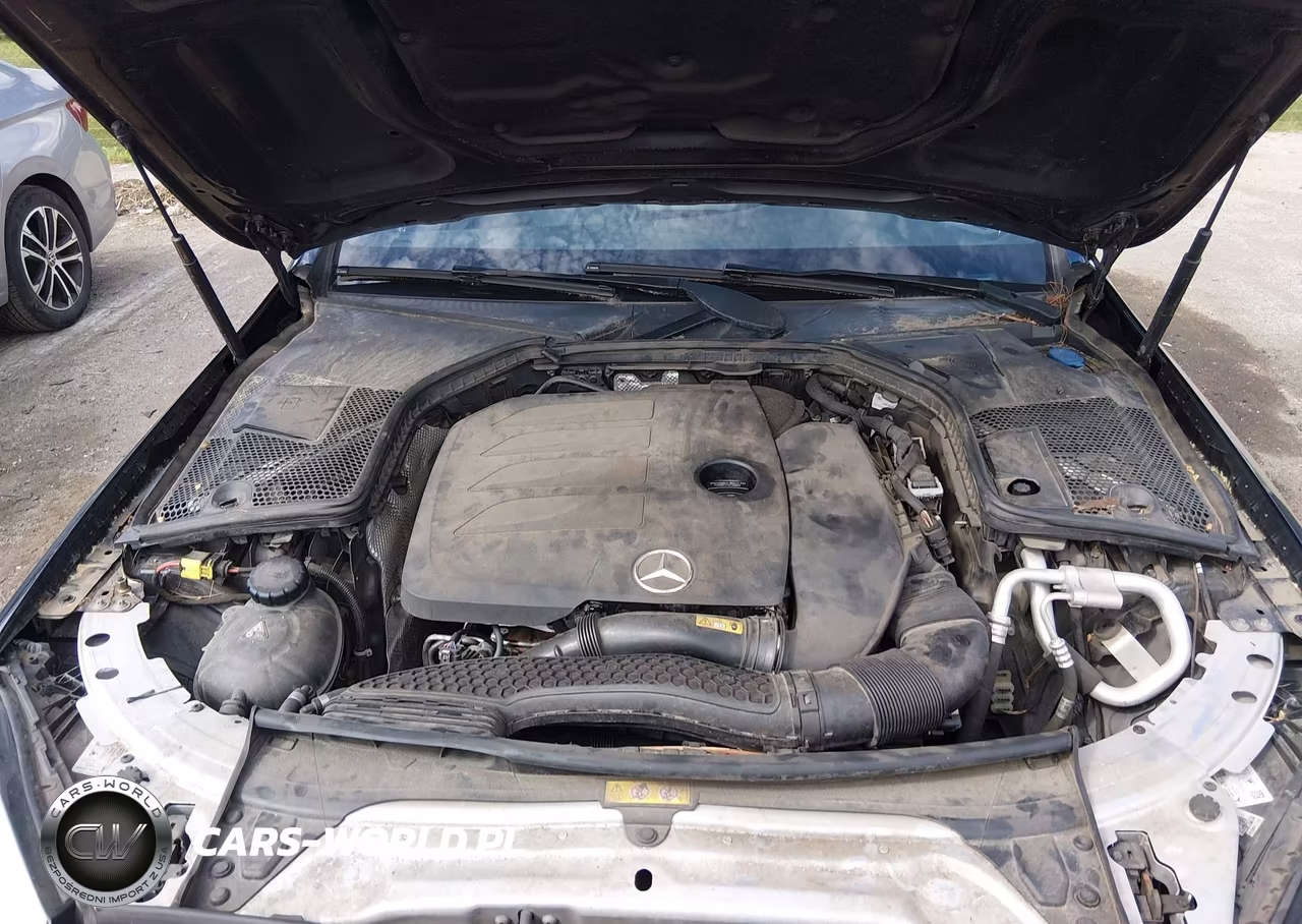 2019 Mercedes-Benz C 300 4Matic VIN:55SWF8EB0KU315837 - 10