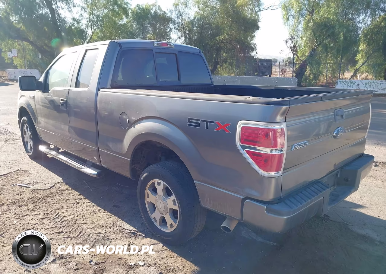 2010 Ford F-150 Stx-Xl VIN:1FTEX1CW5AFB30524 - 3
