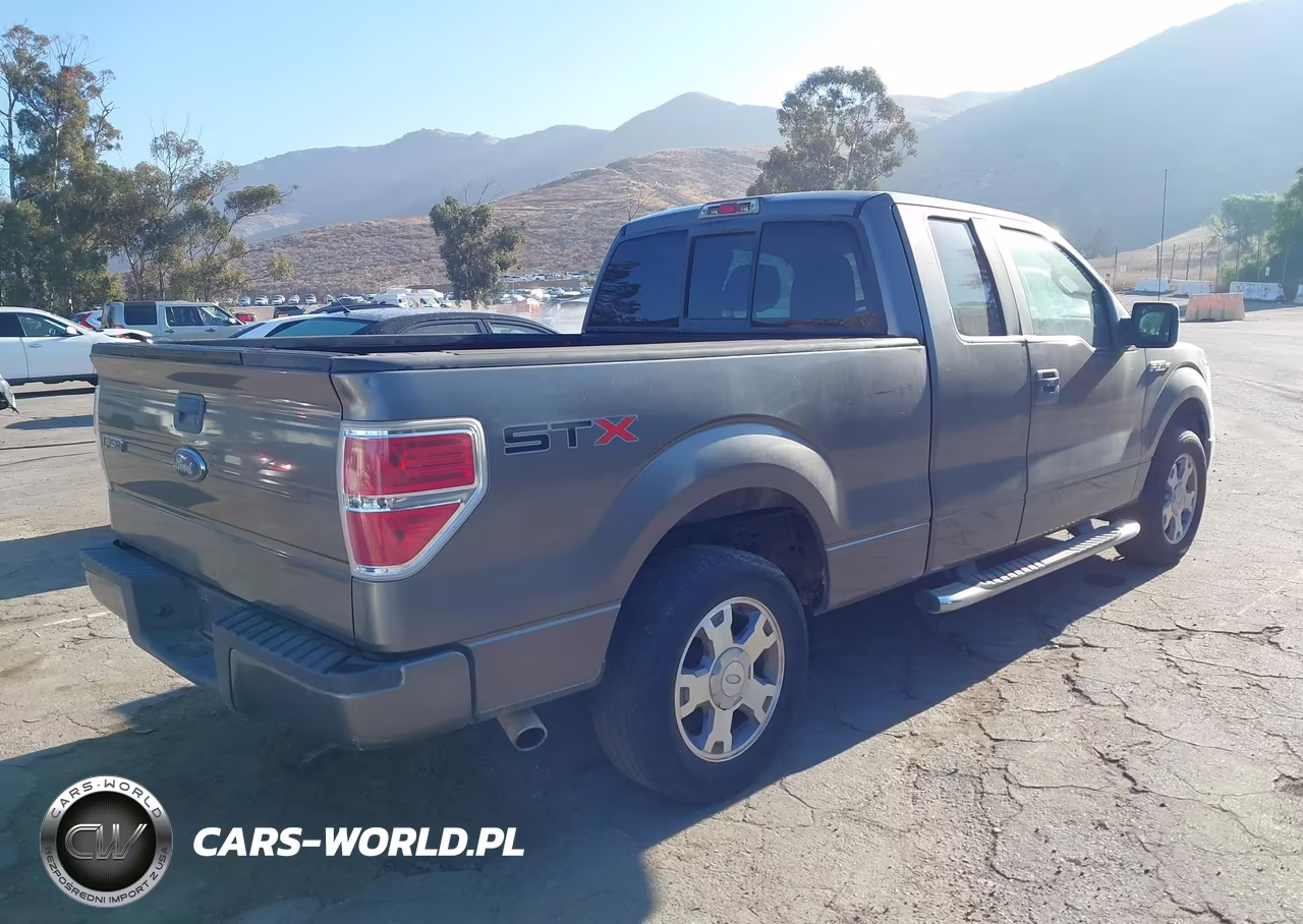 2010 Ford F-150 Stx-Xl VIN:1FTEX1CW5AFB30524 - 4