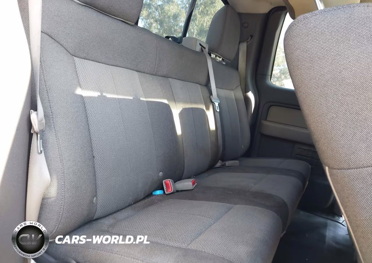2010 Ford F-150 Stx-Xl VIN:1FTEX1CW5AFB30524 - 8
