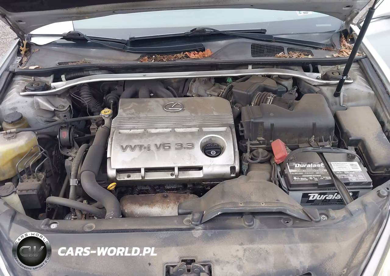 2006 Lexus Es 330 VIN:JTHBA30G565145744 - 10