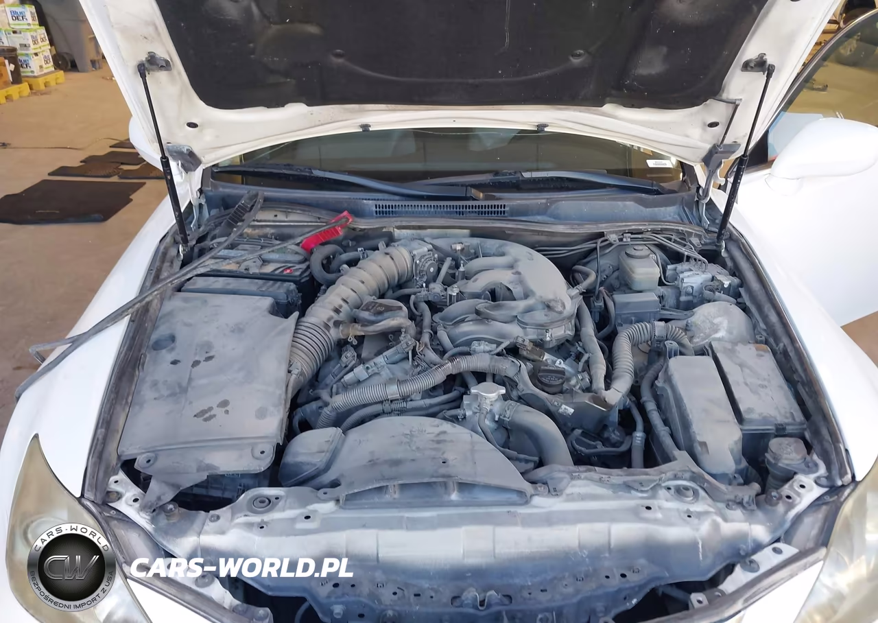 2006 Lexus Is 350 VIN:JTHBE262665004451 - 10