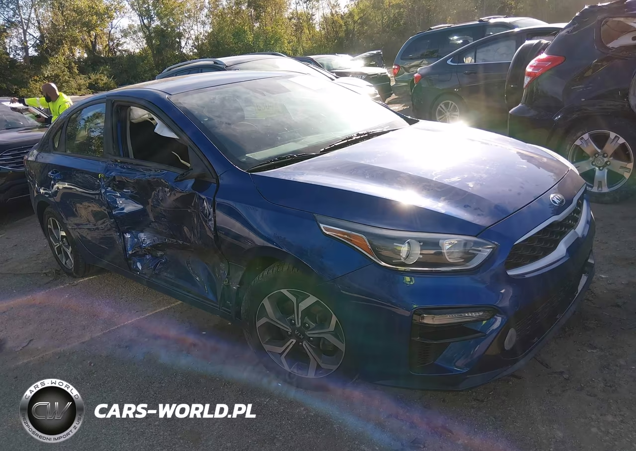 2019 Kia Forte Lxs
