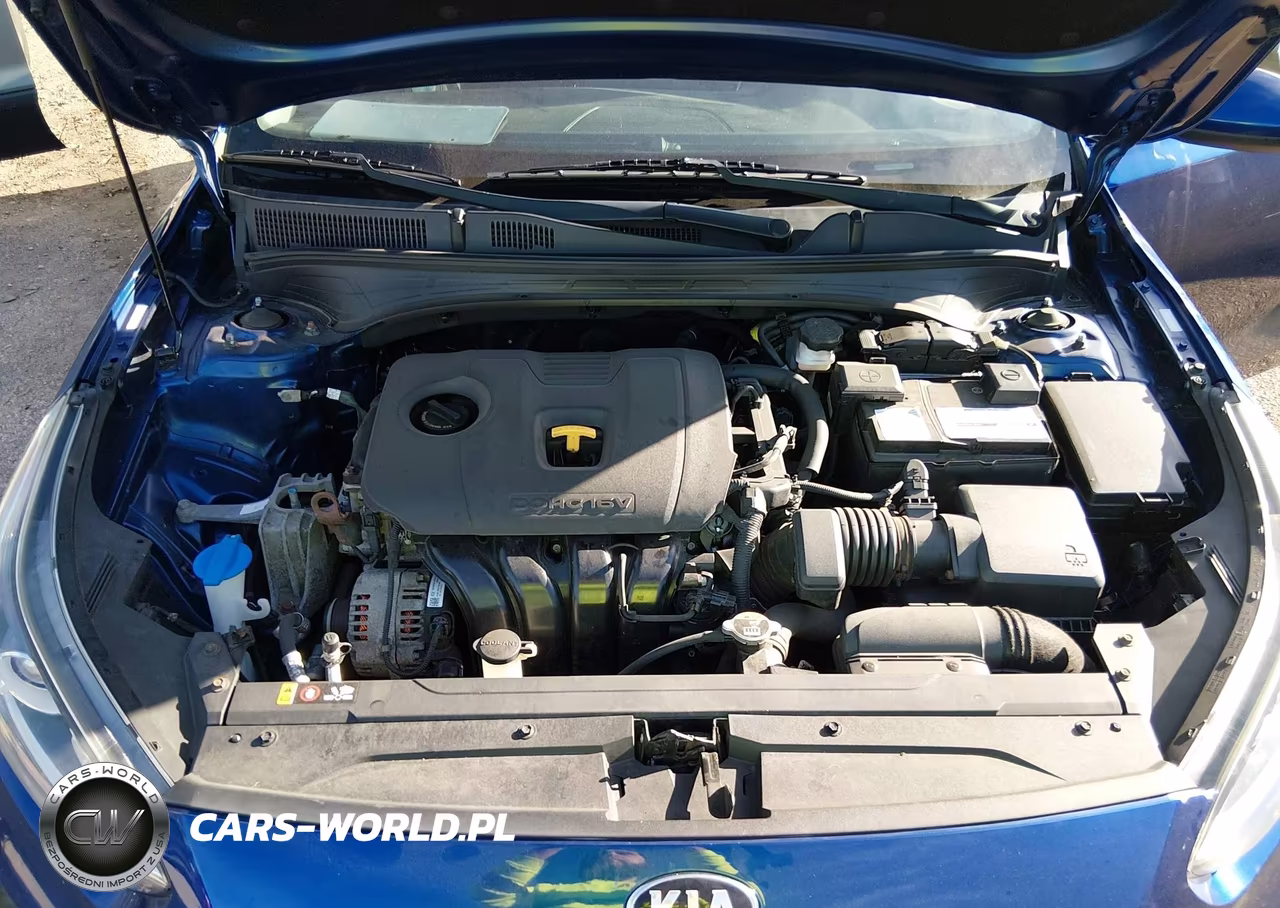 2019 Kia Forte Lxs VIN:3KPF24AD3KE125081 - 10