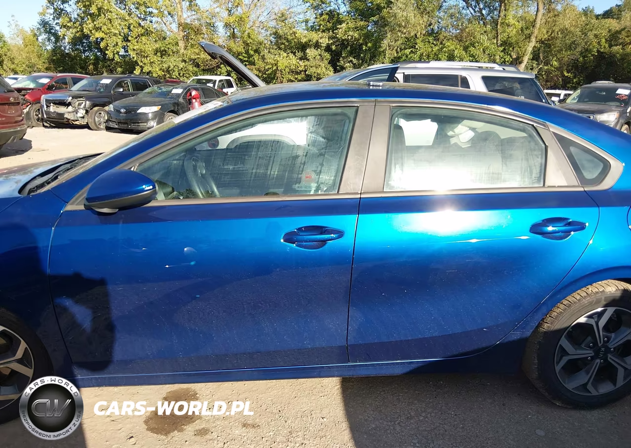2019 Kia Forte Lxs VIN:3KPF24AD3KE125081 - 14