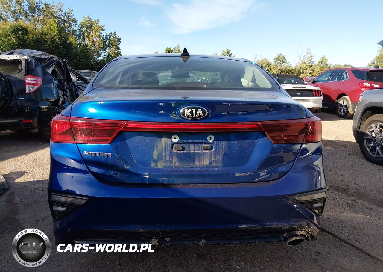 2019 Kia Forte Lxs VIN:3KPF24AD3KE125081 - 16