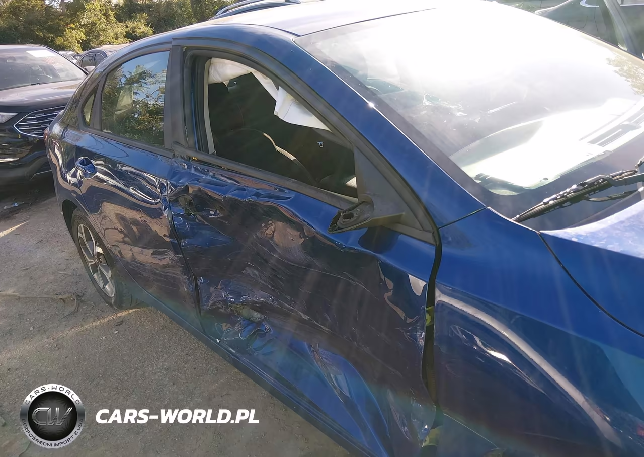 2019 Kia Forte Lxs VIN:3KPF24AD3KE125081 - 6