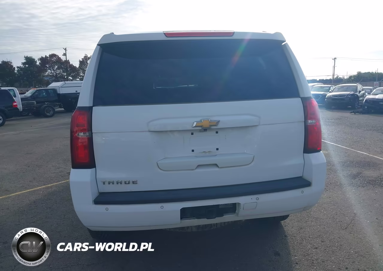 2019 Chevrolet Tahoe Ls VIN:1GNSKAEC4KR351334 - 16