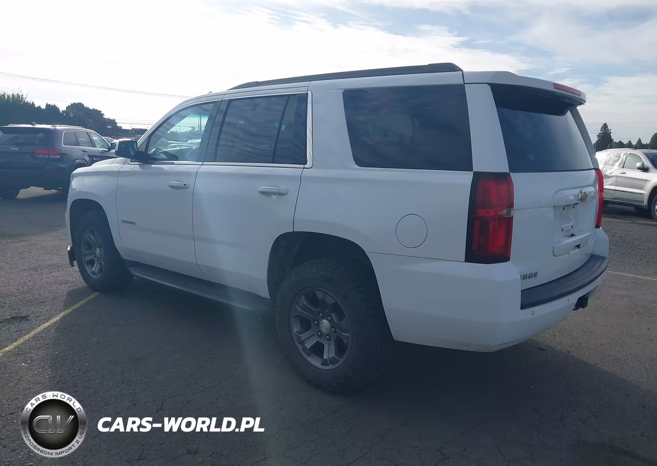 2019 Chevrolet Tahoe Ls VIN:1GNSKAEC4KR351334 - 3