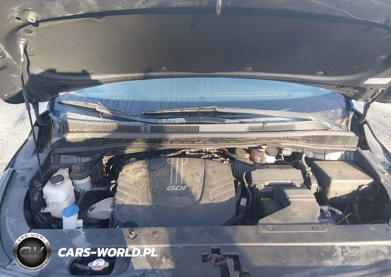 2016 Kia Sedona Ex VIN:KNDMC5C1XG6185594 - 10