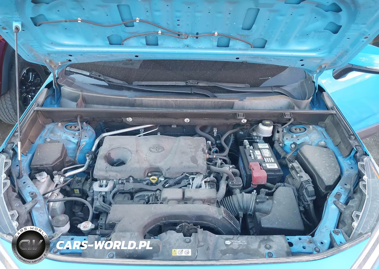 2019 Toyota Rav4 Xle VIN:JTMP1RFV9KD039376 - 10