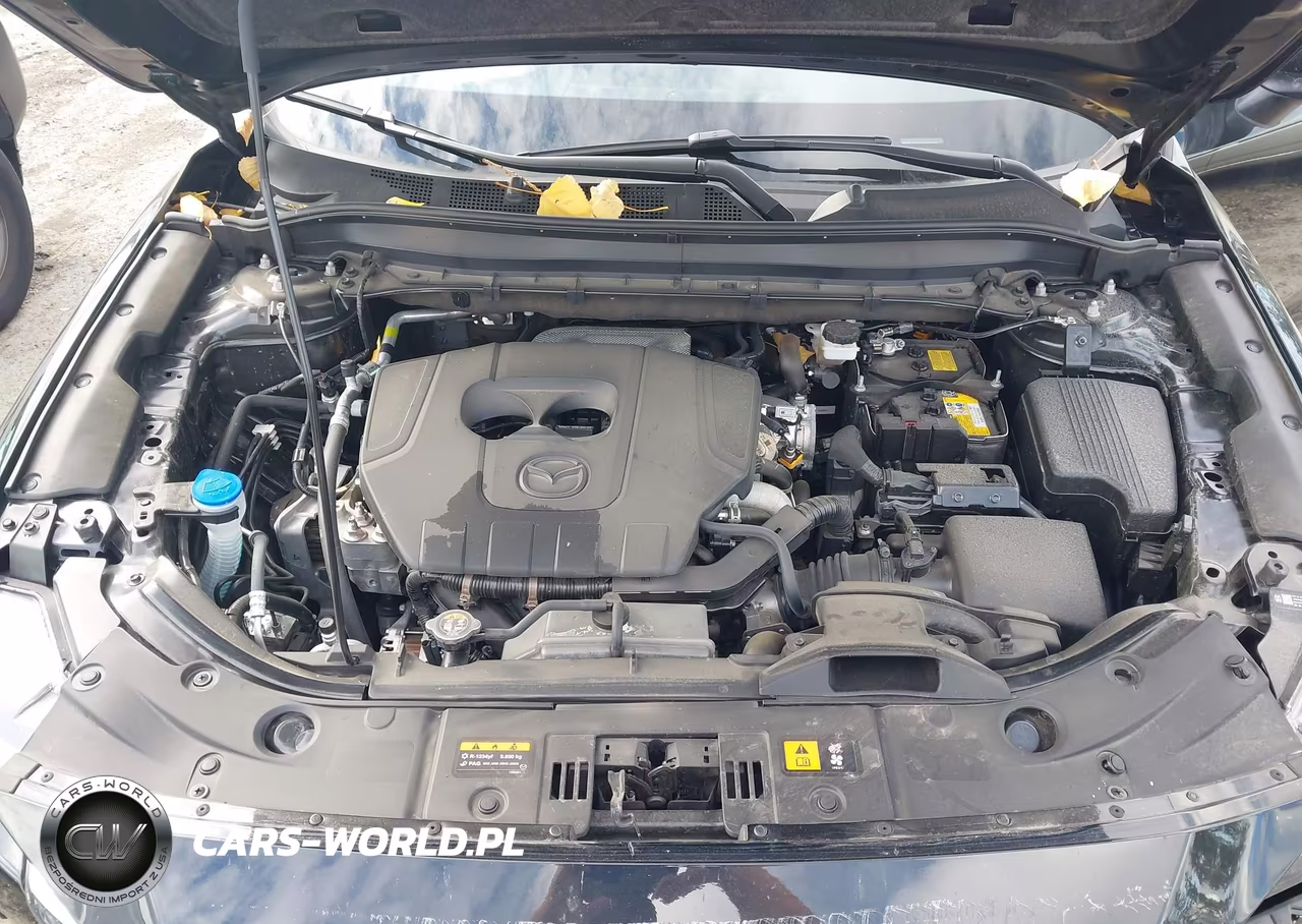 2025 Mazda Cx-5 2.5 S Premium Plus VIN:JM3KFBEM2S0805233 - 10