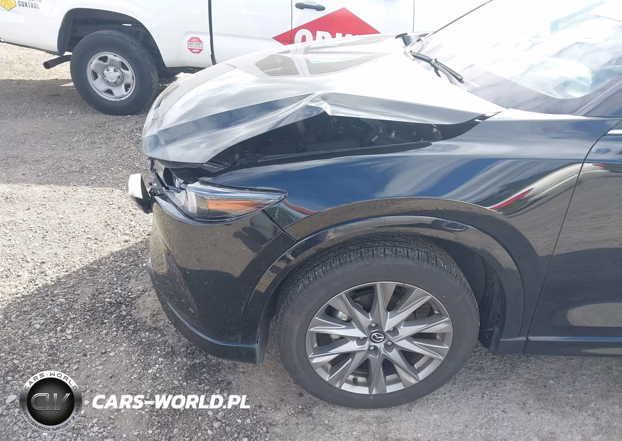 2025 Mazda Cx-5 2.5 S Premium Plus VIN:JM3KFBEM2S0805233 - 19