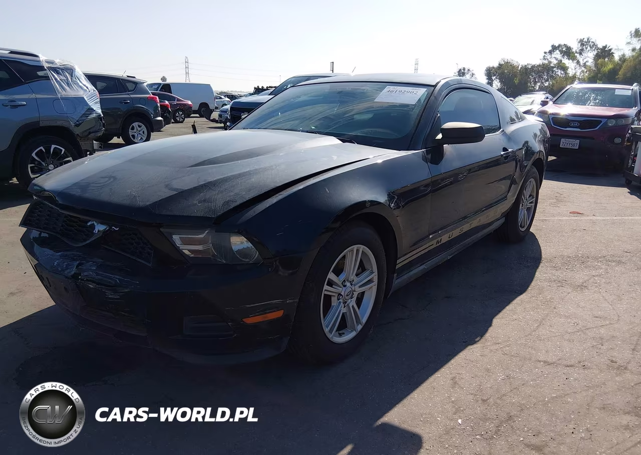 2011 Ford Mustang V6 VIN:1ZVBP8AM9B5156240 - 2