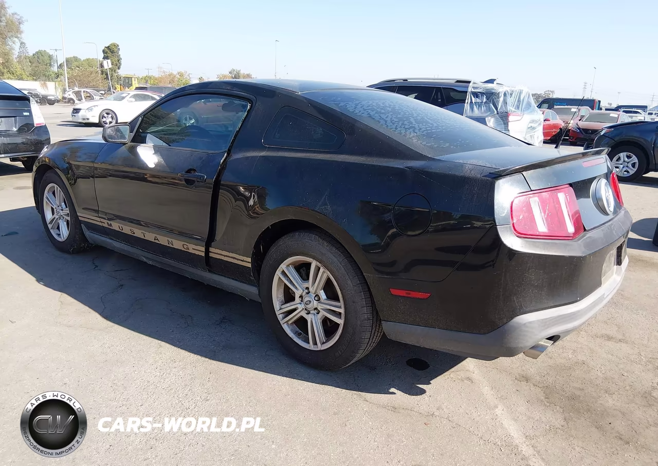 2011 Ford Mustang V6 VIN:1ZVBP8AM9B5156240 - 3