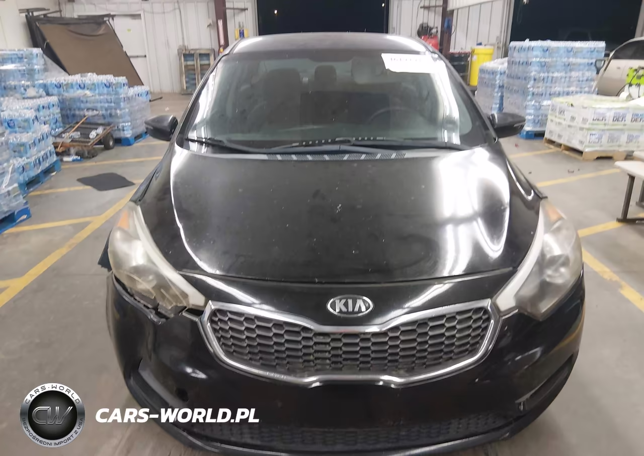 2016 Kia Forte Lx VIN:KNAFX4A60G5461693 - 12