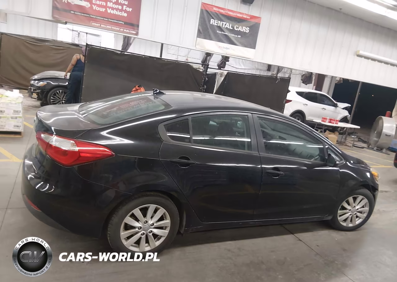 2016 Kia Forte Lx VIN:KNAFX4A60G5461693 - 13