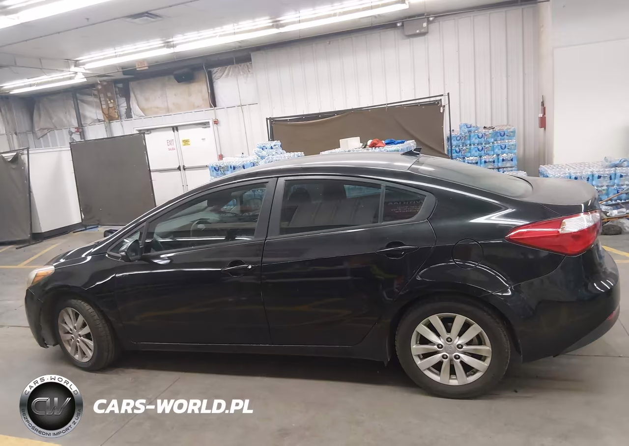 2016 Kia Forte Lx VIN:KNAFX4A60G5461693 - 14