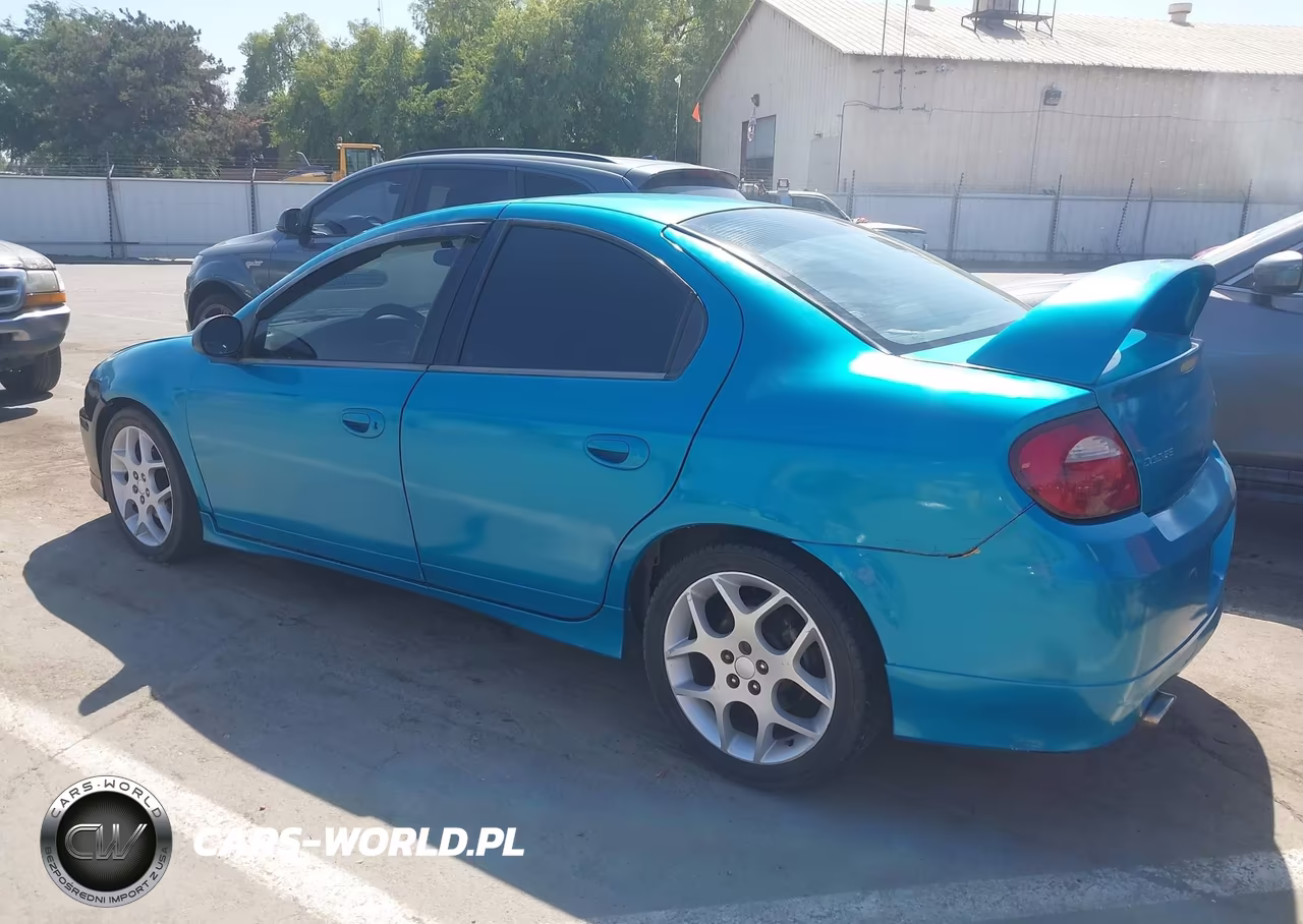 2005 Dodge Srt4 VIN:1B3ES66S05D125092 - 3