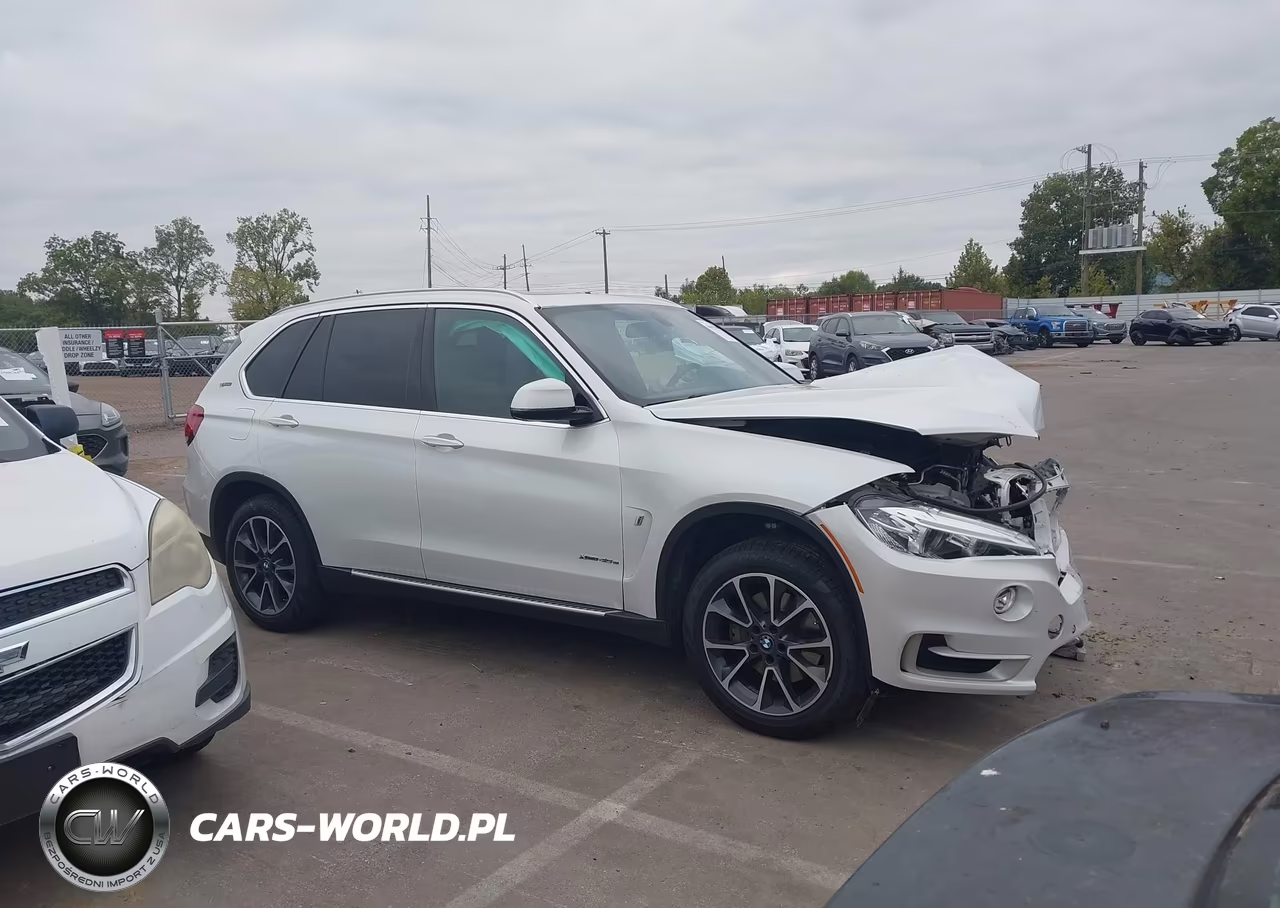 2018 BMW X5 Edrive xDrive40E Iperformance VIN:5UXKT0C52J0W03863 - 13