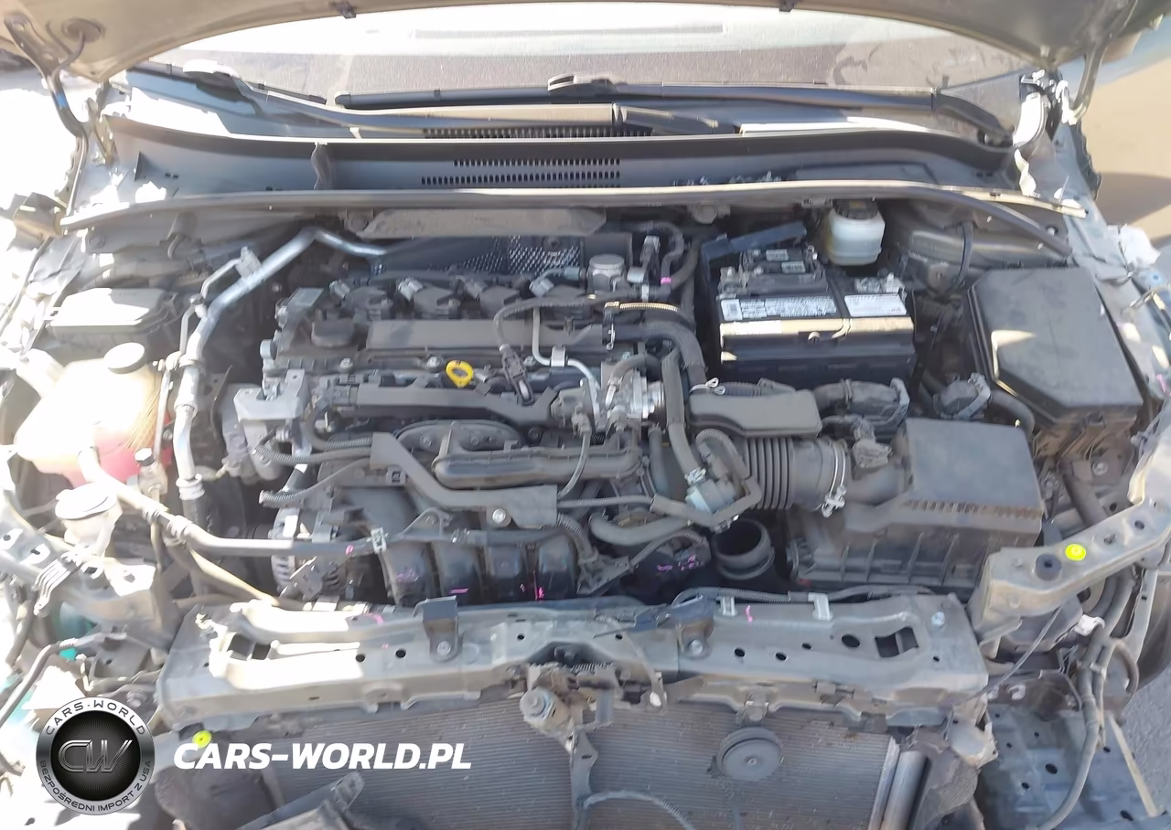 2019 Toyota Corolla Se VIN:JTNK4RBE7K3054399 - 10