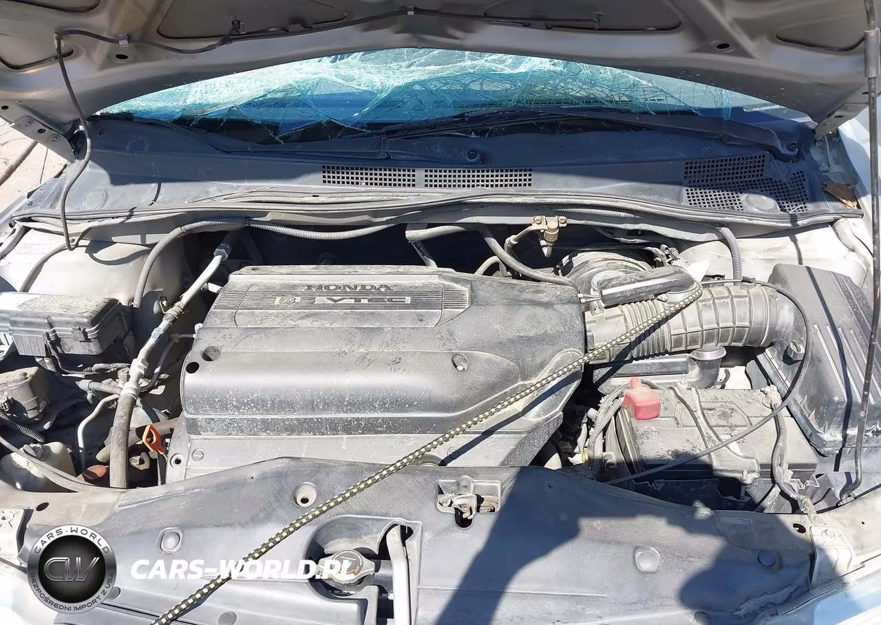 2004 Honda Odyssey Ex VIN:5FNRL18834B114063 - 10